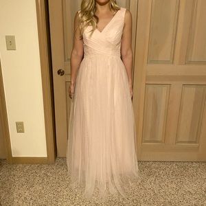 Bari Jay Blush Gown